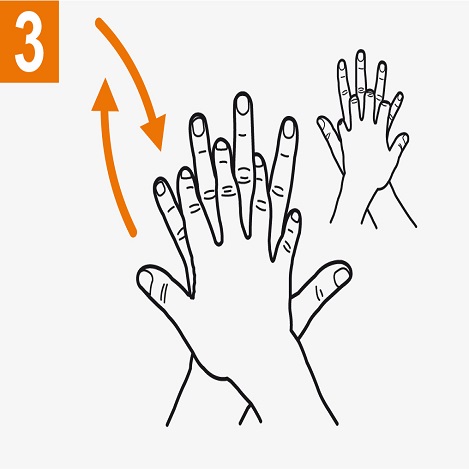 Frótese la palma de la mano derecha contra el dorso de la mano izquierda entrelazando los dedos y viceversa. 